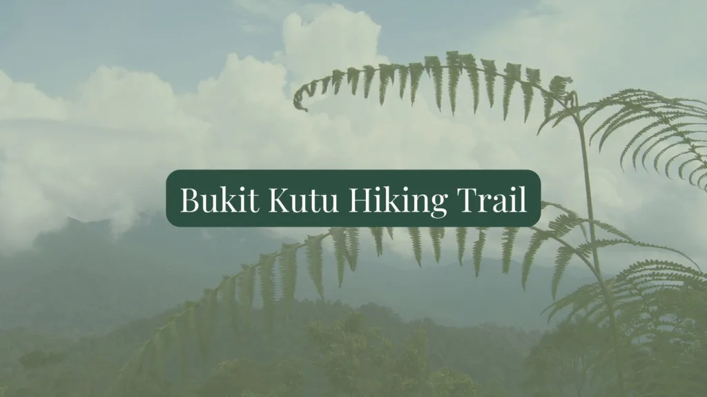 The Bukit Kutu Hiking Trail: A Must To Venture Beyond Kuala Lumpur!